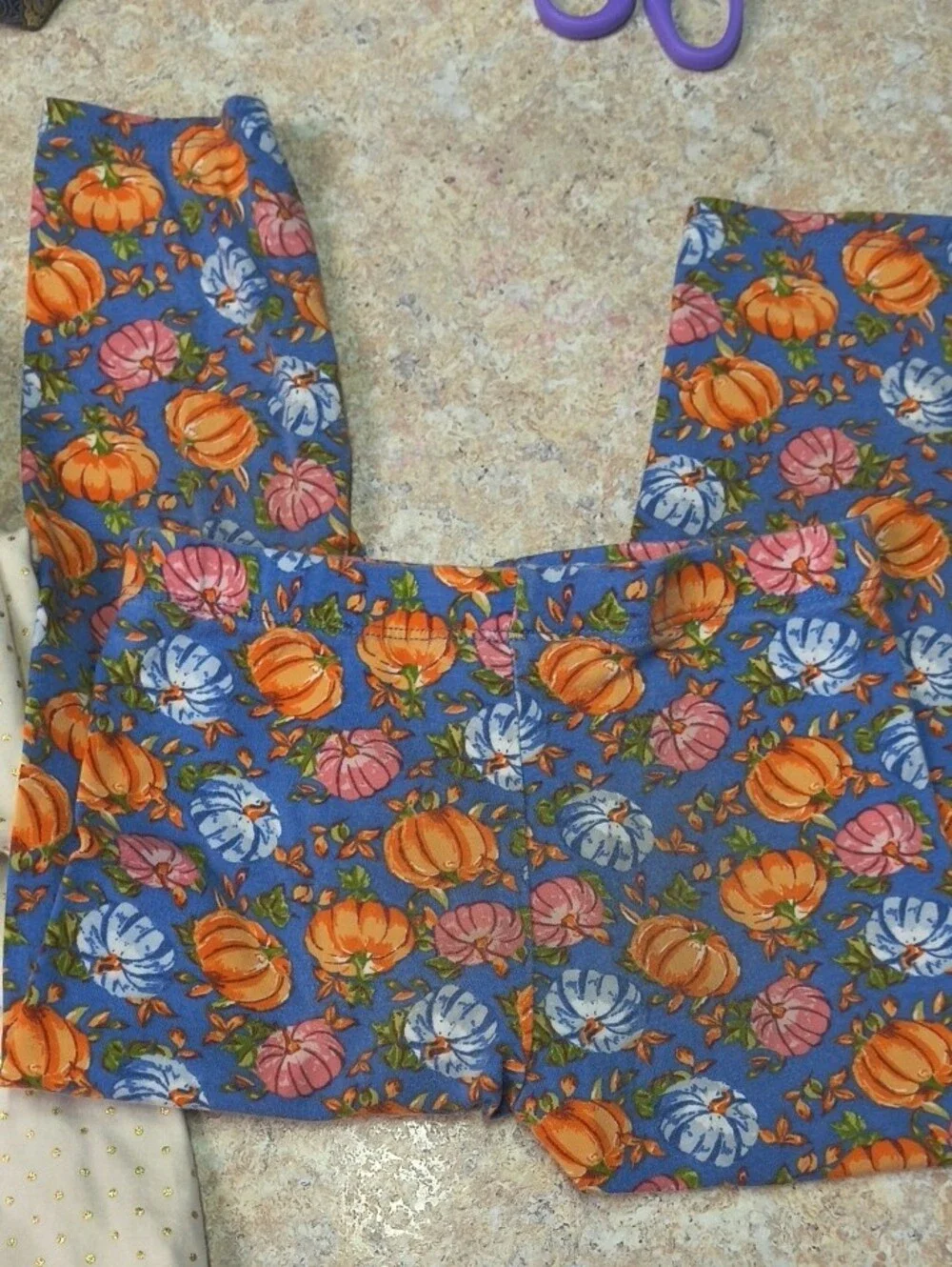 Bonnie Jean Cream & Blue Pumpkin Appliqué Dress with Floral Leggings Sz 5
